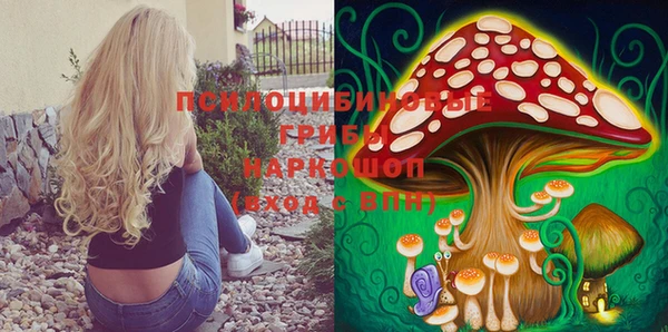 ПСИЛОЦИБИНОВЫЕ ГРИБЫ Лиски