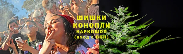 индика Лихославль