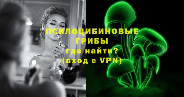PSILOCYBIN Липки