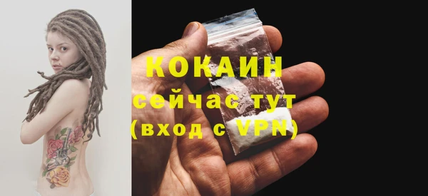 PSILOCYBIN Липки