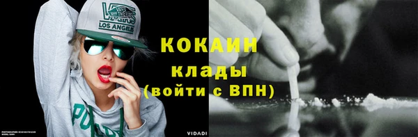 индика Лихославль