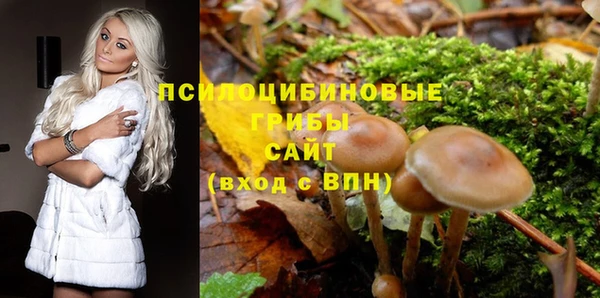 ПСИЛОЦИБИНОВЫЕ ГРИБЫ Лиски