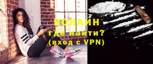 индика Лихославль