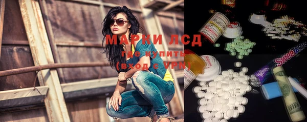 PSILOCYBIN Липки