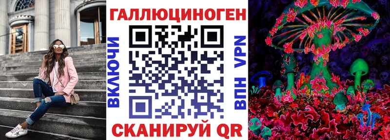 закладки  Пермь  Галлюциногенные грибы Cubensis 